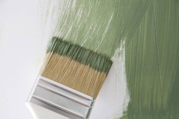 Mold Remediation for Vacation Homes in Concordia, KS
