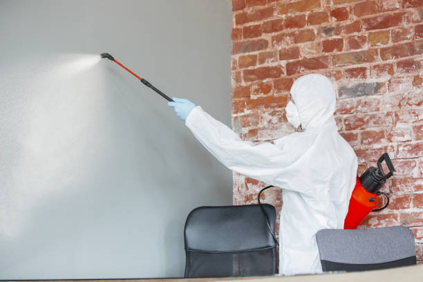 Best Asbestos and Lead Testing During Mold Inspection  in Concordia, KS