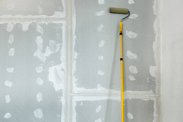 Best Mold Removal for HVAC Installations  in Concordia, KS