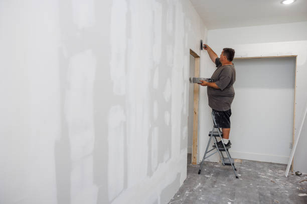 Best Post-Construction Mold Inspection  in Concordia, KS
