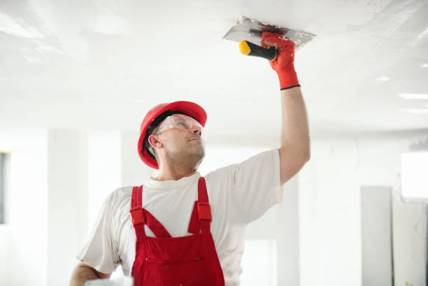Best Commercial Mold Inspection  in Concordia, KS
